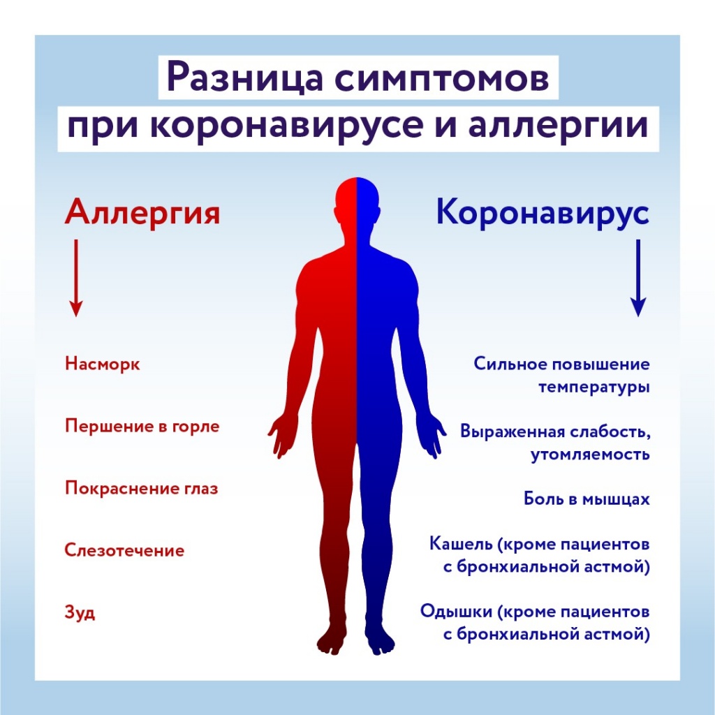 аллергия 1.jpeg