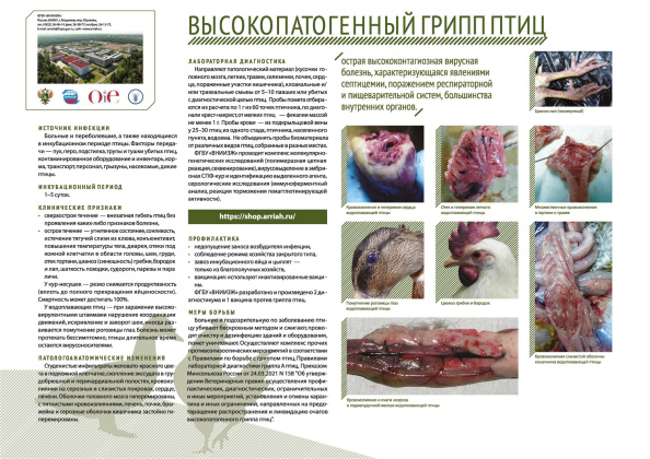 Untitled.FR12 - 0005.jpg