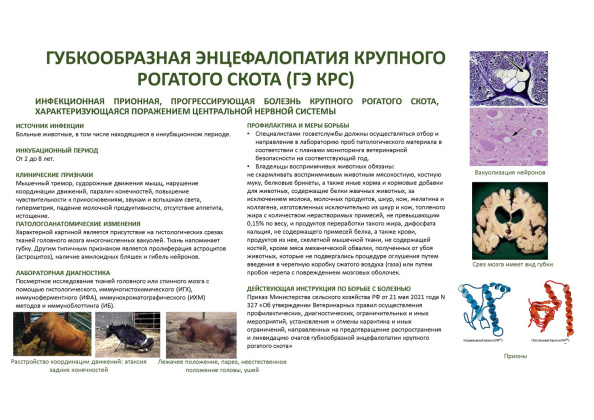 Untitled.FR12 - 0006.jpg