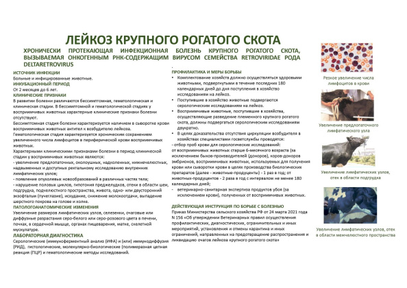 Untitled.FR12 - 0007.jpg
